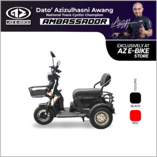 C04 E-Tricycle