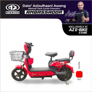 L01 E-Bicycle
