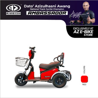 L04 E-Tricycle