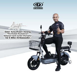 LTD01 E-Bicycle