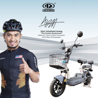 LTD01 E-Bicycle